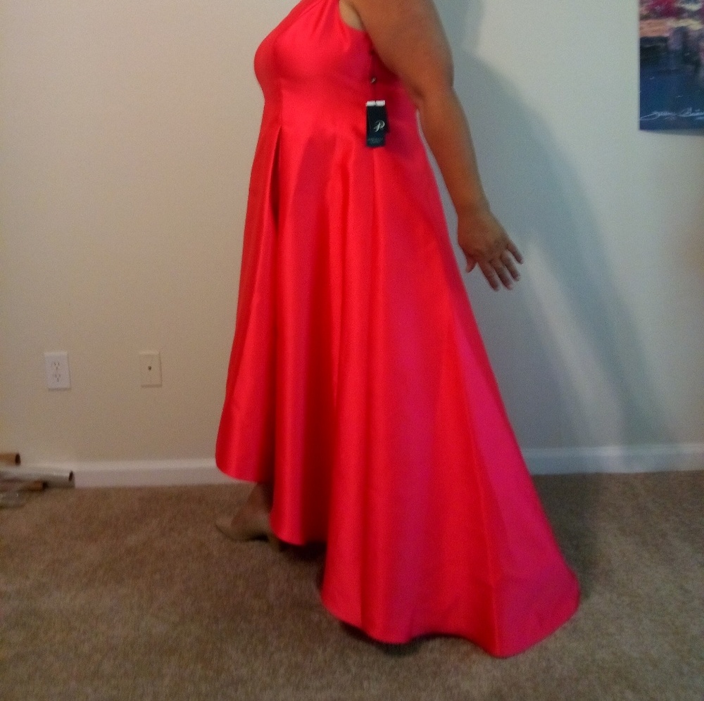 Adrianna Papell Formal Event  dress 22W
